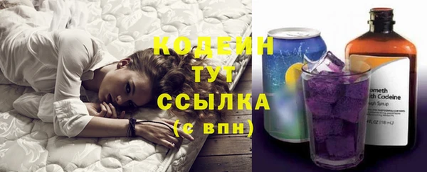 apvp Дмитров