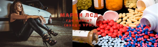 мяу мяу мука Дмитриев