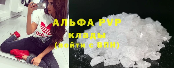 мяу мяу мука Дмитриев