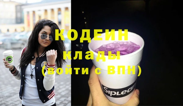 мяу мяу мука Дмитриев