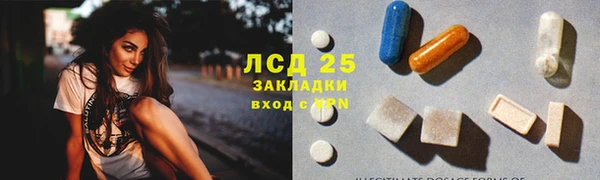 мяу мяу мука Дмитриев
