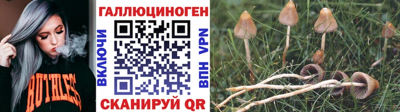 Псилоцибиновые грибы MAGIC MUSHROOMS  Купить  Мамоново 